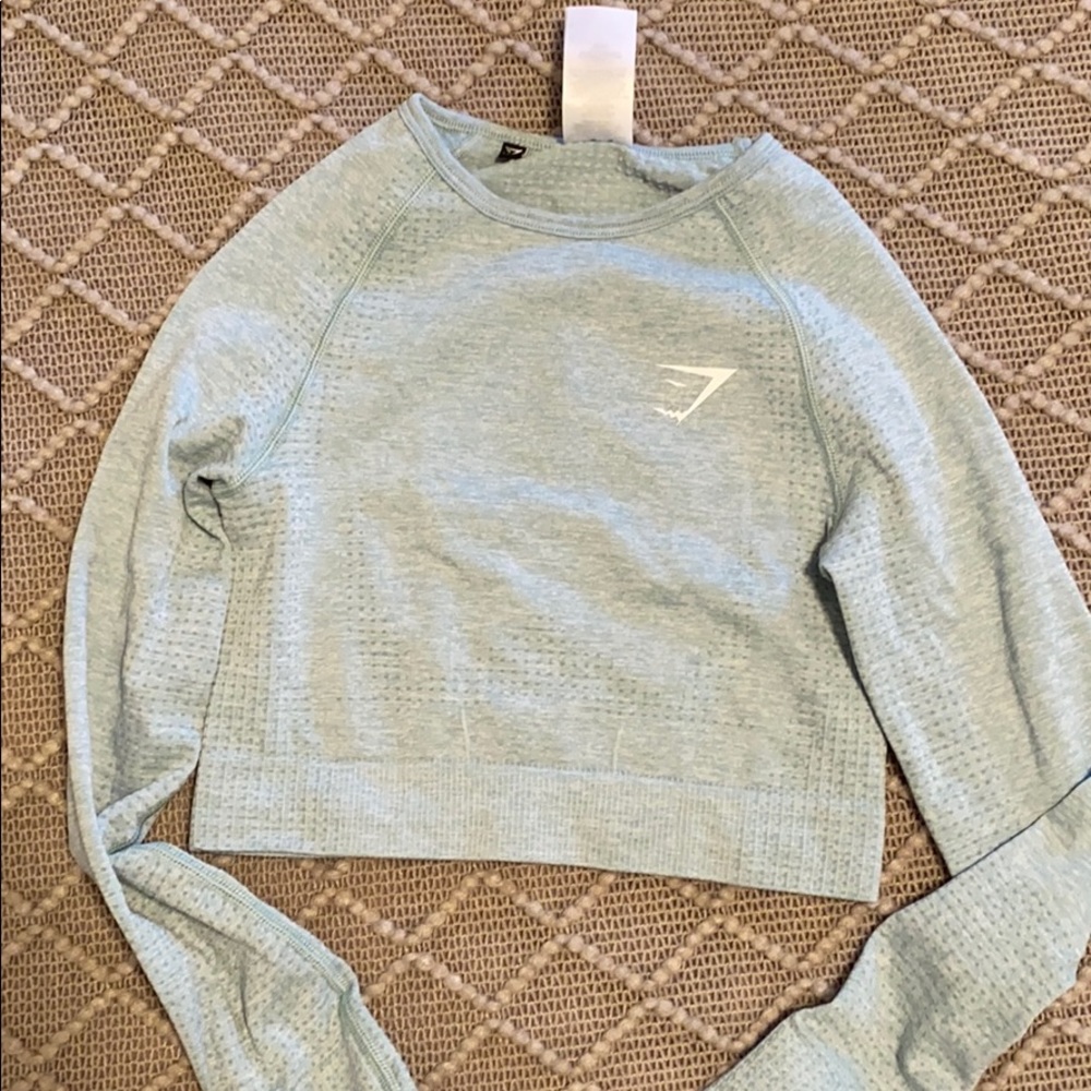 Vital long sleeve crop